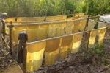 ANRPC kêu gọi các nước sản xuất – xuất khẩu cao su lớn tăng nguồn cung cho thị trường nội địa